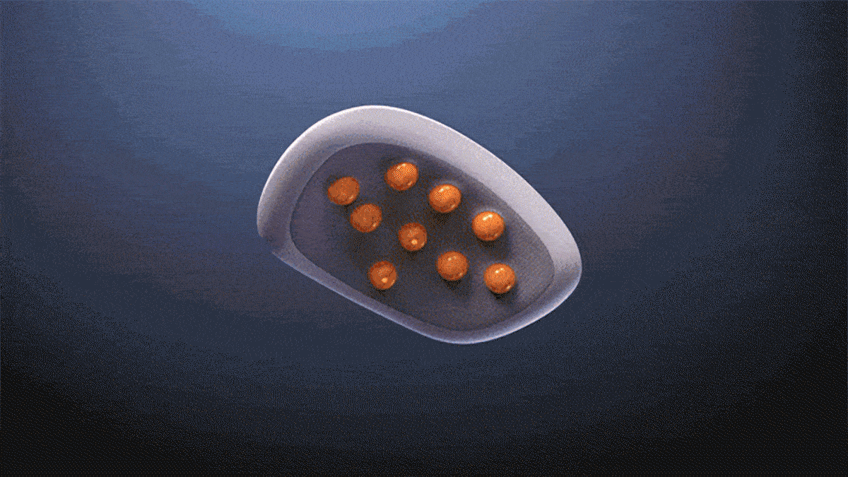69e8e10a7715c17f1a6052679ae74402_1743654965_1213.gif